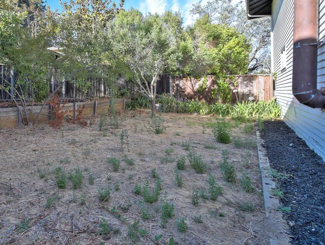 Backyard Decking & Patio — View 4 - Before