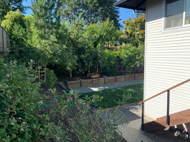Curated Architectural Landscaping