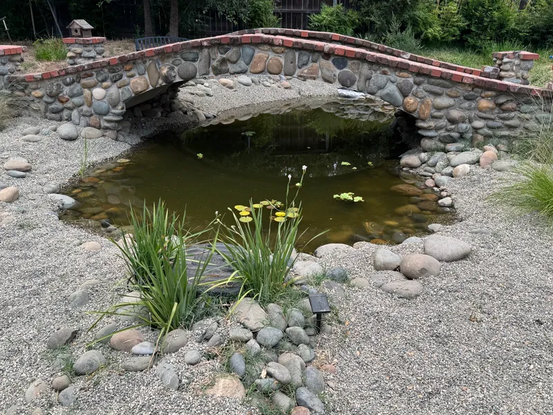 Pond Landscaping & Surrounds