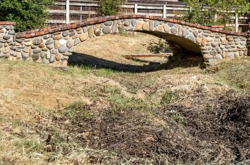 Custom Pond & Water Feature - Before
