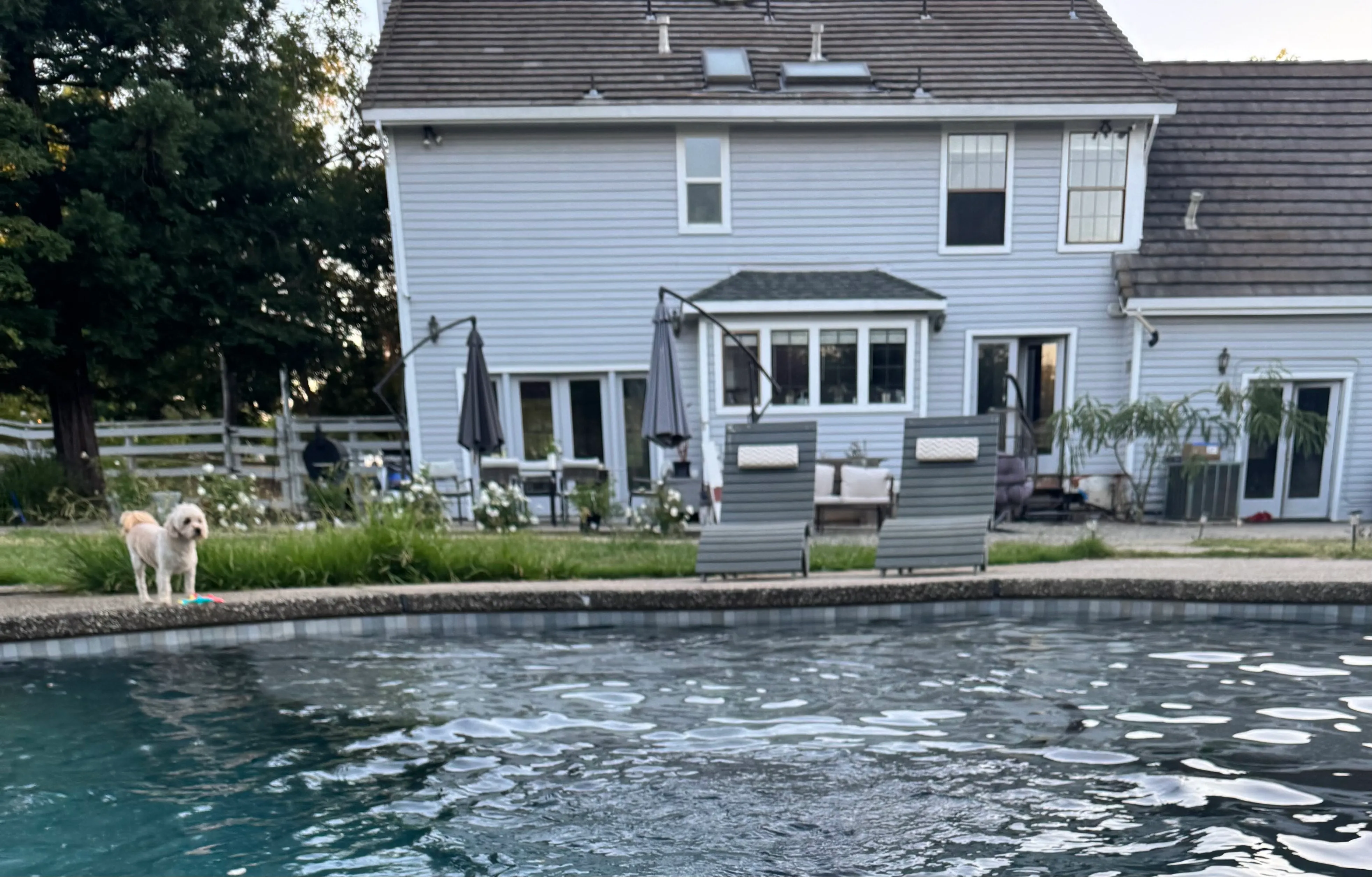 Pool Deck View of Main House - After